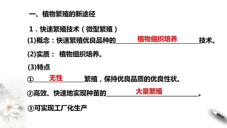 高中生物选择性必修三  第1节  二  植物细胞工程的应用课件PPT04