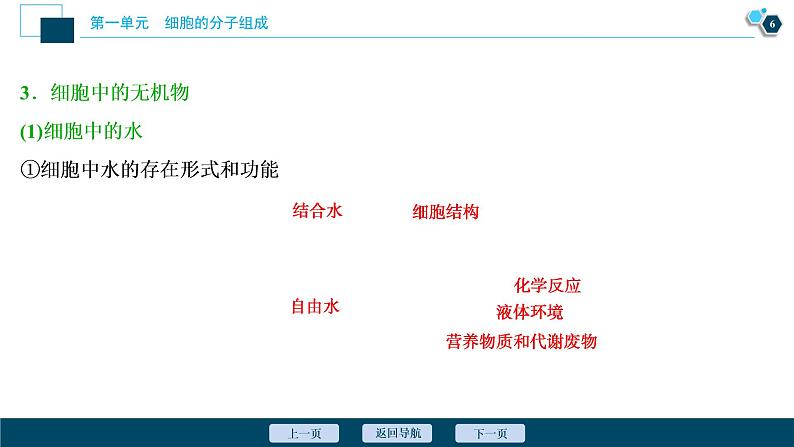 高中生物高考1 第1讲　细胞中的无机物、糖类和脂质课件PPT07