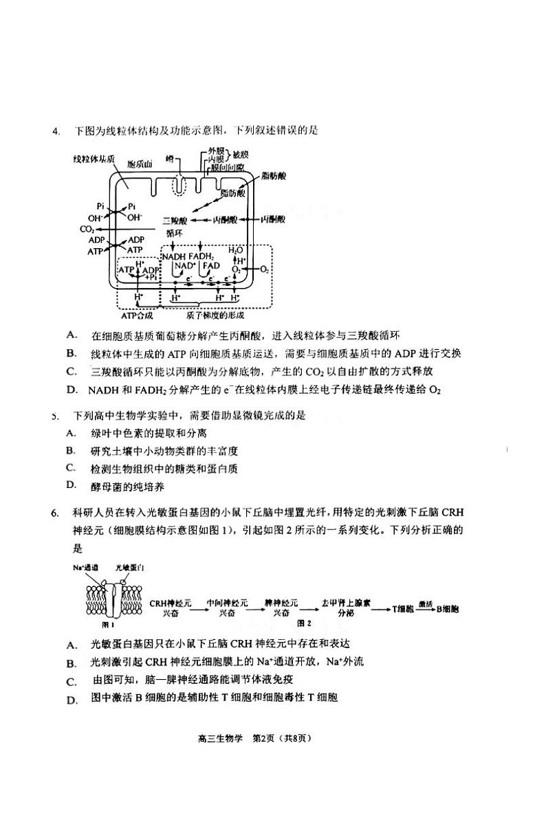 2023天津南开区高三下学期质量检测（一）生物PDF版含答案第2页