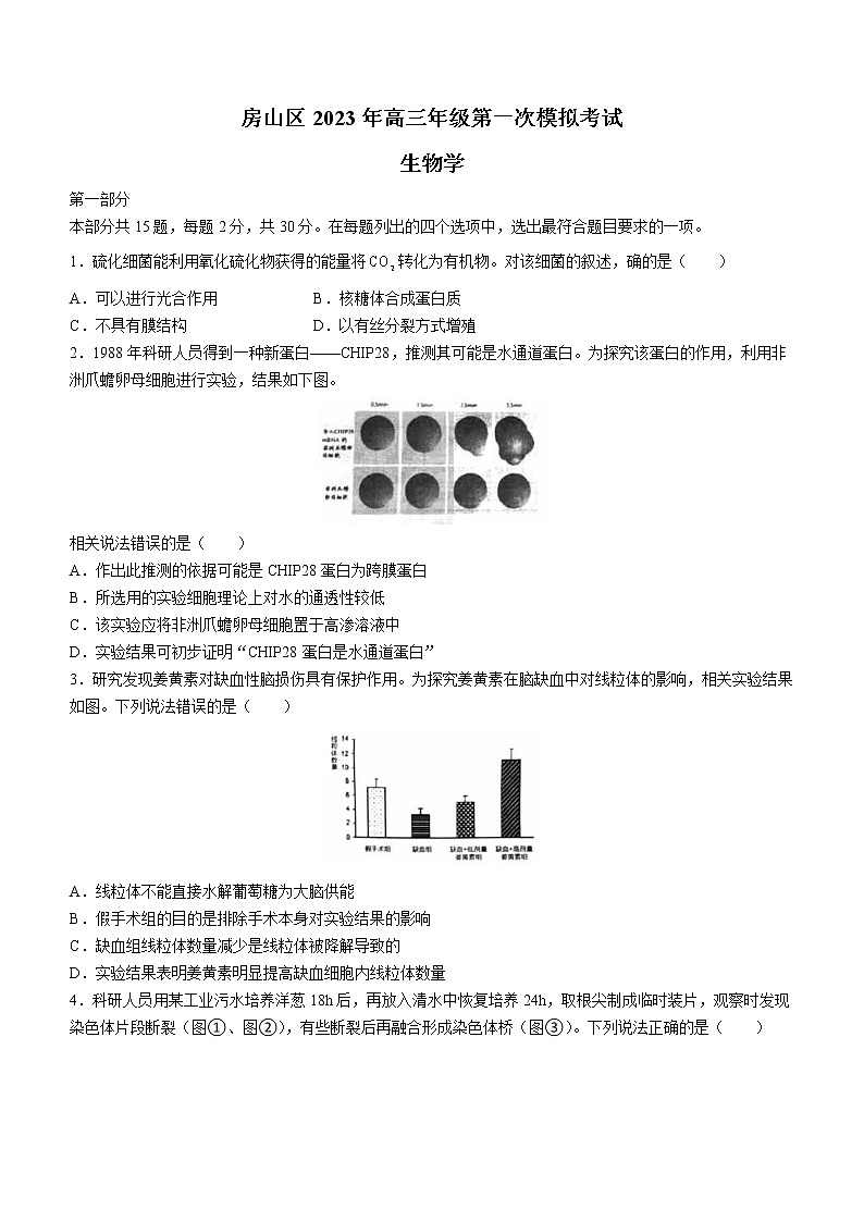 2023北京房山区高三下学期一模试题生物无答案第1页