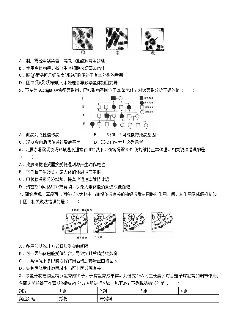 2023北京房山区高三下学期一模试题生物无答案第2页