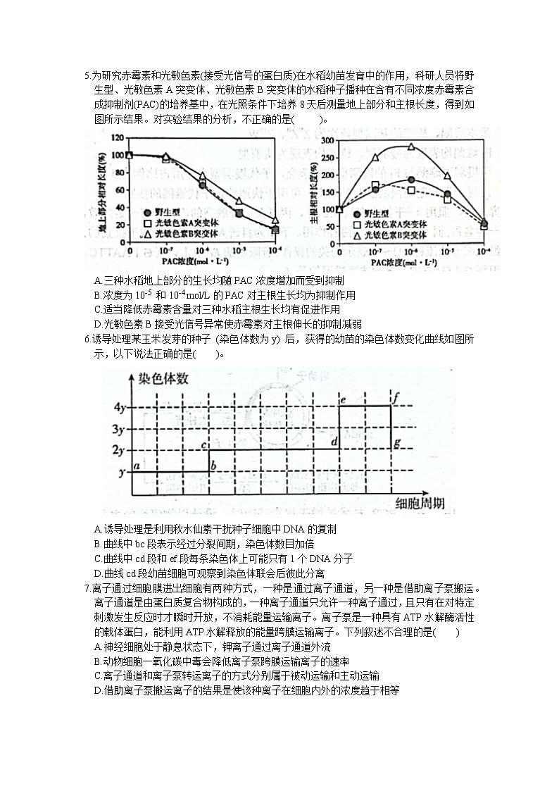2023天津和平区高三下学期第一次质量调查生物试题含答案02