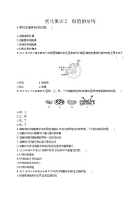 一轮复习生物优化集训2　细胞的结构