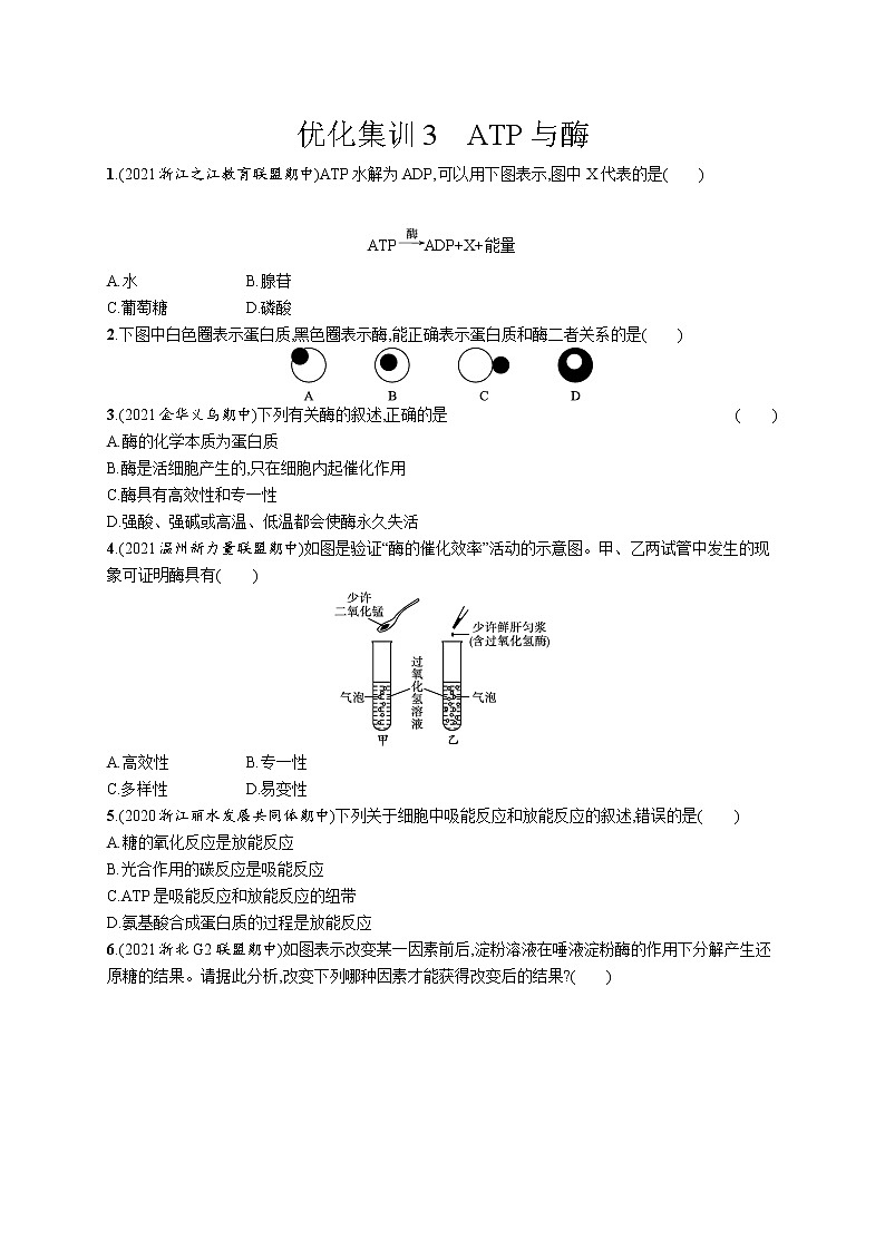 一轮复习生物优化集训3　ATP与酶第1页