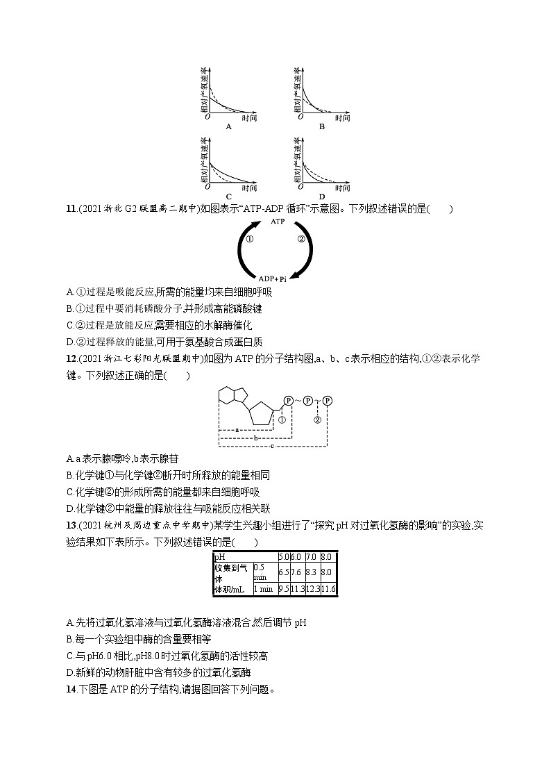 一轮复习生物优化集训3　ATP与酶第3页