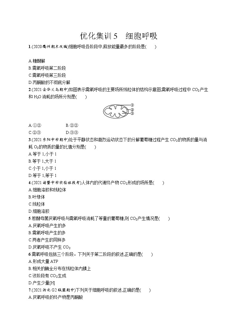 一轮复习生物优化集训5　细胞呼吸第1页