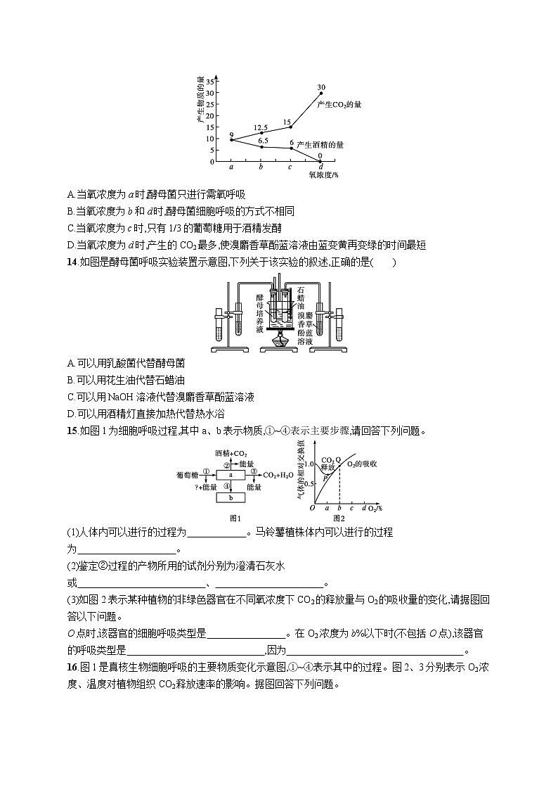 一轮复习生物优化集训5　细胞呼吸第3页