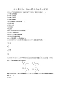 一轮复习生物优化集训14　DNA的分子结构与复制