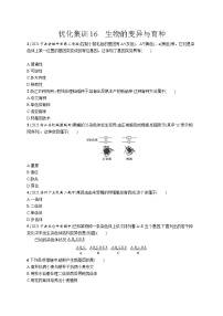 一轮复习生物优化集训16　生物的变异与育种