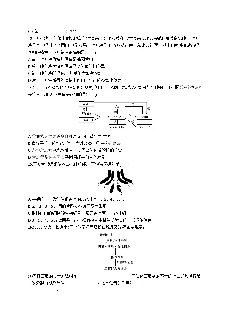 一轮复习生物优化集训16　生物的变异与育种第3页