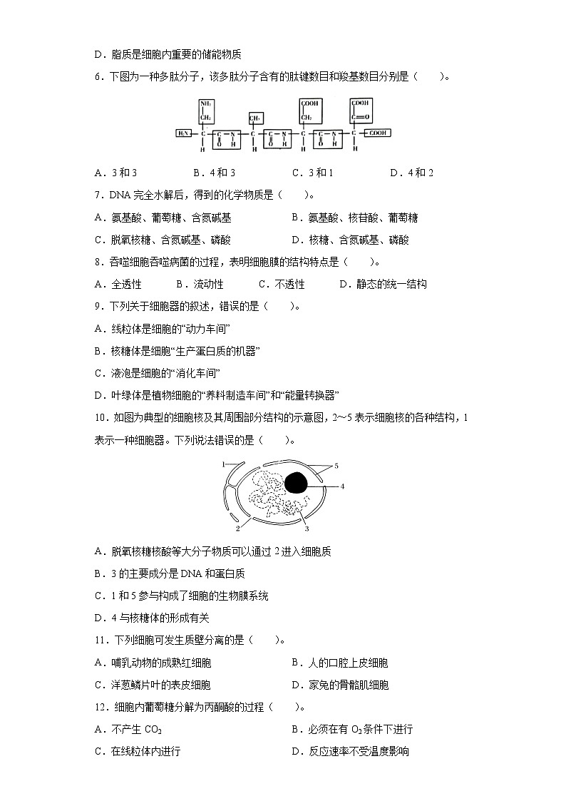 2022年6月福建省普通高中学业水平合格性考试生物仿真模拟试卷 02（含答案）第2页