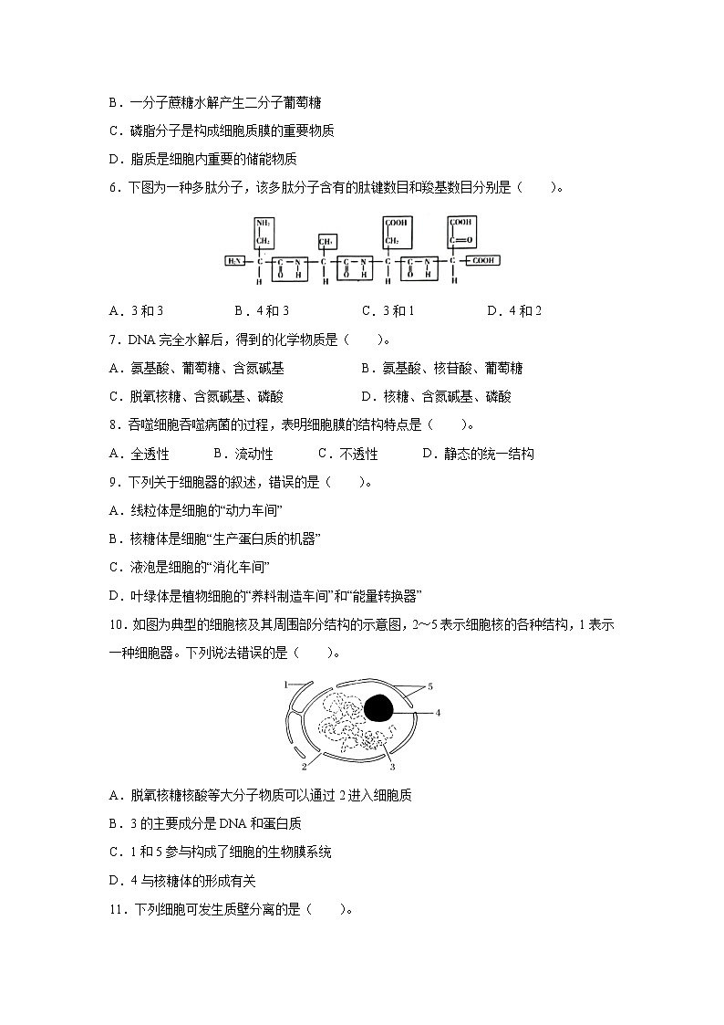 2022年6月福建省普通高中学业水平合格性考试生物仿真模拟试卷 02（无答案）02
