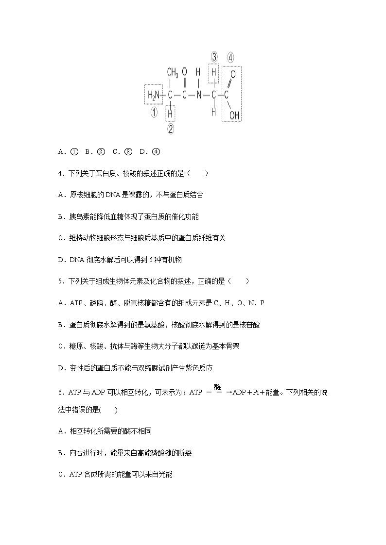 2022年7月广东省普通高中学业水平考试生物仿真模拟试卷03（含答案）02