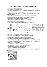 重庆市南开中学2022-2023学年高三上学期第二次质量检测 生物试题 Word版含答案