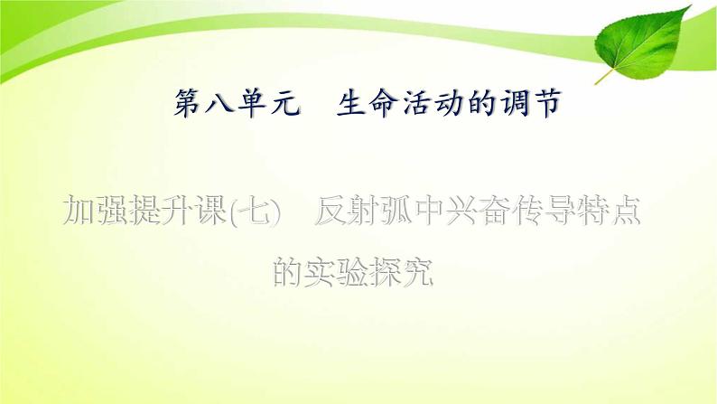 高中生物2022年二轮复习：加强提升课(七)　反射弧中兴奋传导特点的实验探究课件PPT第1页