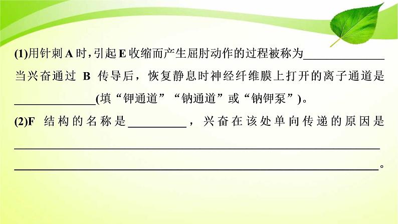 高中生物2022年二轮复习：加强提升课(七)　反射弧中兴奋传导特点的实验探究课件PPT第7页