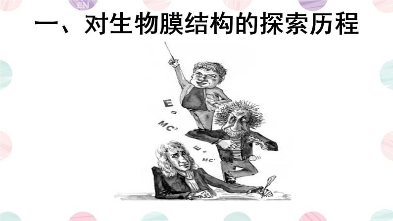 高一 生物必修一 4.2 生物膜的流动镶嵌模型课件PPT第4页