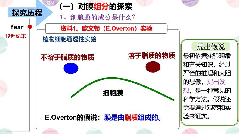 高一 生物必修一 4.2 生物膜的流动镶嵌模型课件PPT第6页