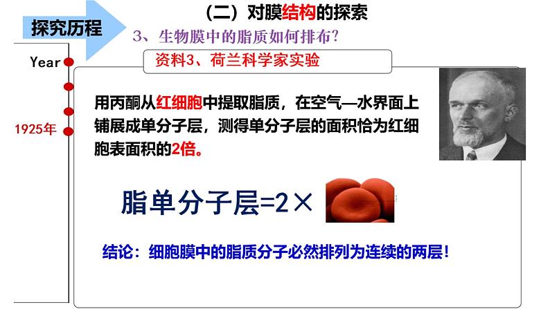 高一 生物必修一 4.2 生物膜的流动镶嵌模型课件PPT第8页