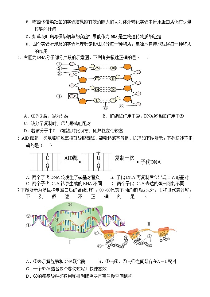 2022-2023学年北京市首都师范大学附属密云中学高三上学期10月阶段性练习生物试题含答案02