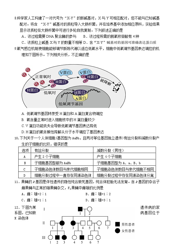 2022-2023学年北京市首都师范大学附属密云中学高三上学期10月阶段性练习生物试题含答案03