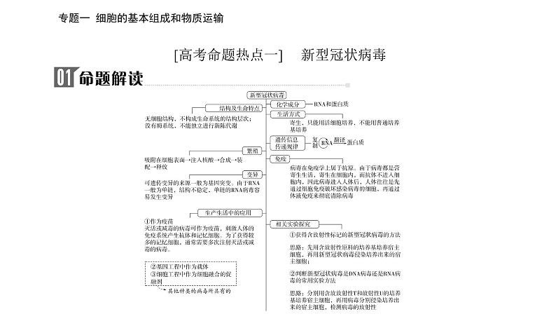 2023届高考生物二轮复习高考命题热点一新型冠状病毒课件第2页