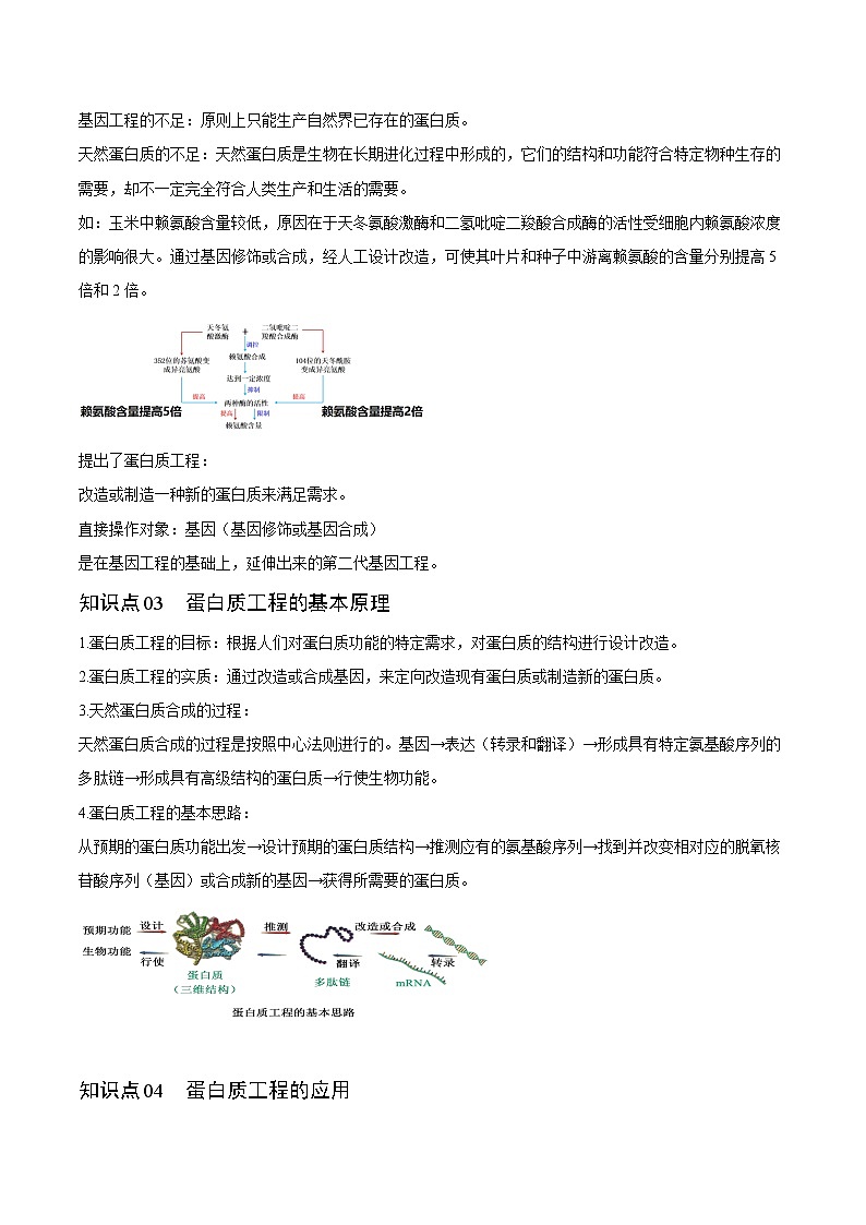 3.4 基因工程的延伸——蛋白质工程（学生版）-高二生物同步精品讲义（人教版2019选择性必修3）第2页
