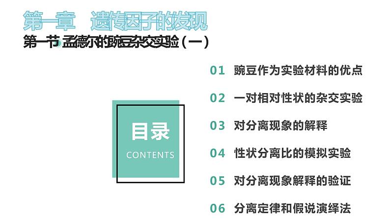 1.11孟德尔豌豆杂交实验一课件PPT第1页