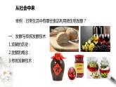 高中生物选择性必修三  第一节 传统发酵技术的作用课件PPT
