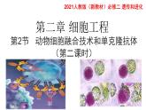 高中生物选择性必修三  2 2 2 动物细胞融合和单克隆抗体（第二课时） 课件练习题