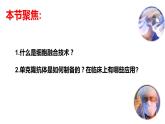 高中生物选择性必修三  2 2 2 动物细胞融合和单克隆抗体（第二课时） 课件练习题