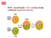 高中生物选择性必修三  2 2 2 动物细胞融合和单克隆抗体（第二课时） 课件练习题