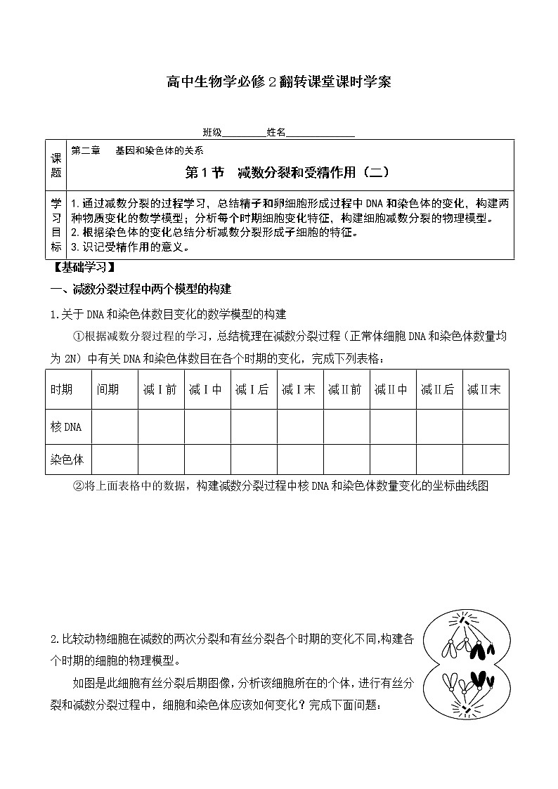 2.1 减数分裂和受精作用（二）-高一生物下学期同步教学优质学案（人教版必修2）01