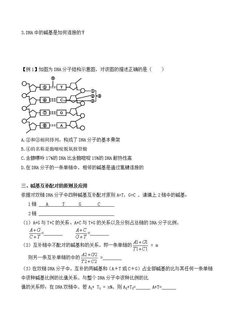 3.2 DNA的结构 -高一生物下学期同步教学优质学案（人教版必修2）02