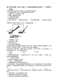 高中生物人教版 (2019)必修2《遗传与进化》第1节 盂德尔的豌豆杂交实验（一）同步测试题