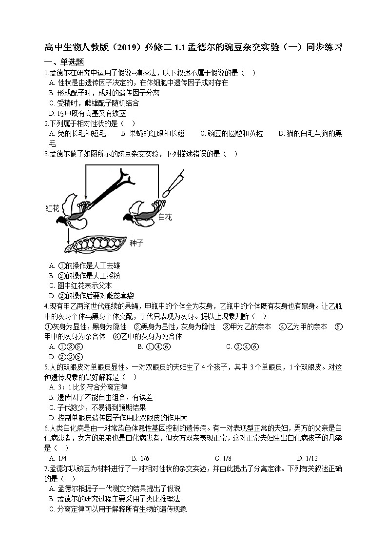 高中生物第二册 1 1孟德尔的豌豆杂交实验（一）同步练习（含解析）第1页