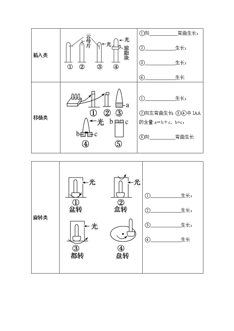 高中生物选择性必修一   5 1 2 植物生长激素（导学案）上学期学同步精品课堂02
