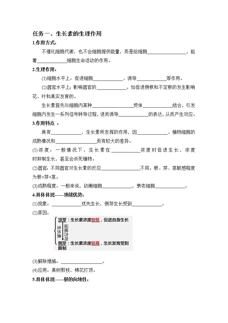 高中生物选择性必修一   5 1 2 植物生长激素（导学案）上学期学同步精品课堂03