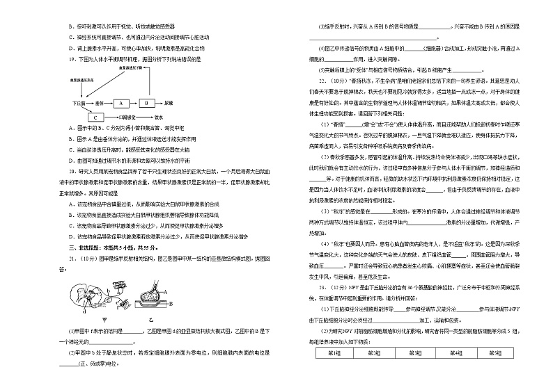 高中生物选择性必修一   第二、三章神经调节、体液调节达标检测卷 B卷03