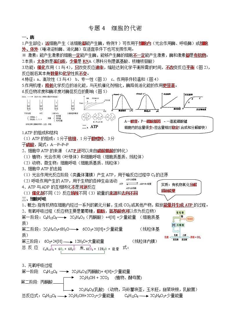 高中生物高考2021年高考二轮生物复习知识清单：04细胞的代谢01