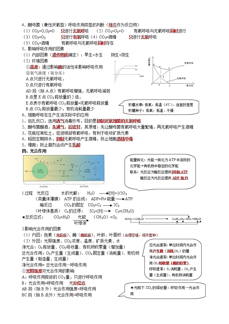 高中生物高考2021年高考二轮生物复习知识清单：04细胞的代谢02