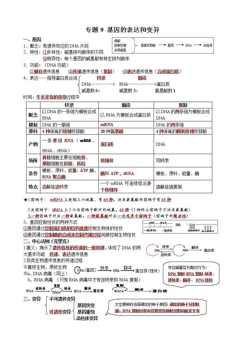 高中生物高考2021年高考二轮生物复习知识清单：09基因表达和变异第1页