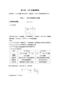 高中生物高考2022年高考生物一轮复习 第3单元 第8讲　ATP和细胞呼吸