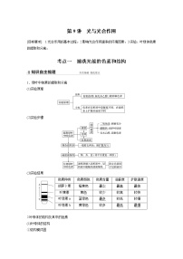 高中生物高考2022年高考生物一轮复习 第3单元 第9讲　光与光合作用