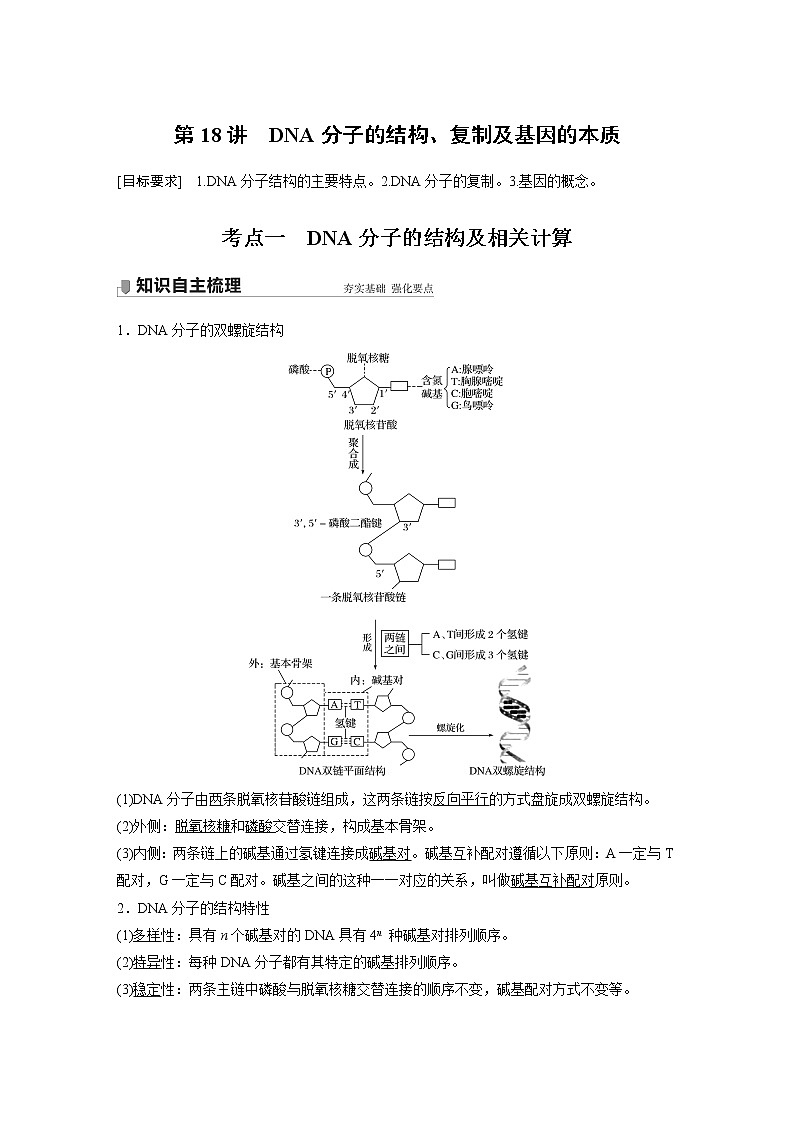 高中生物高考2022年高考生物一轮复习 第6单元 第18讲　DNA分子的结构、复制及基因的本质 试卷01