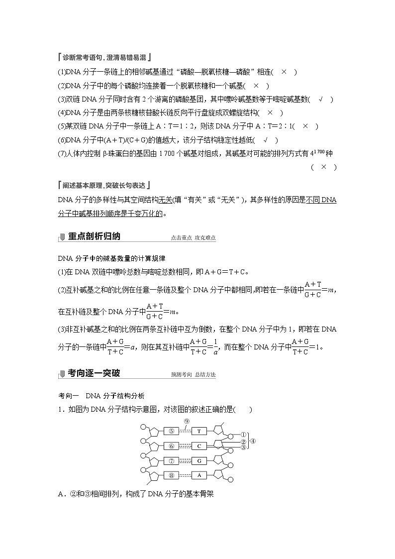 高中生物高考2022年高考生物一轮复习 第6单元 第18讲　DNA分子的结构、复制及基因的本质 试卷02