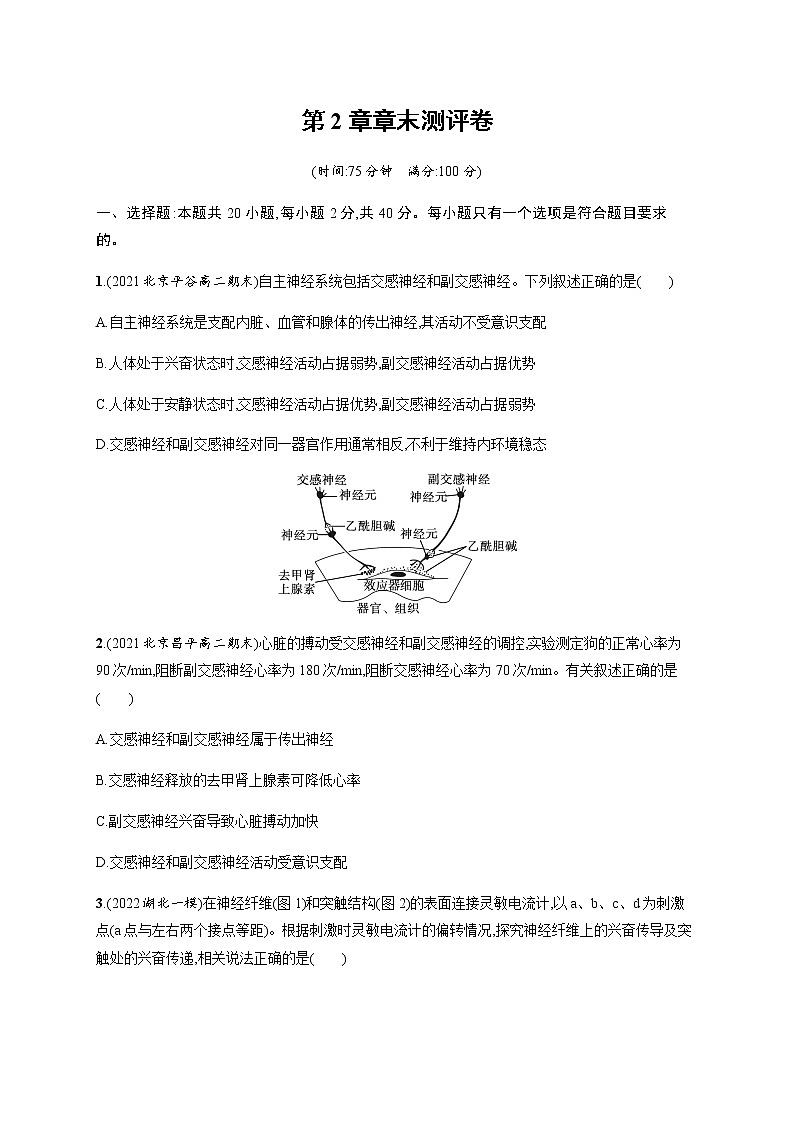 人教版高中生物选择性必修1第2章神经调节章末测评卷含答案01