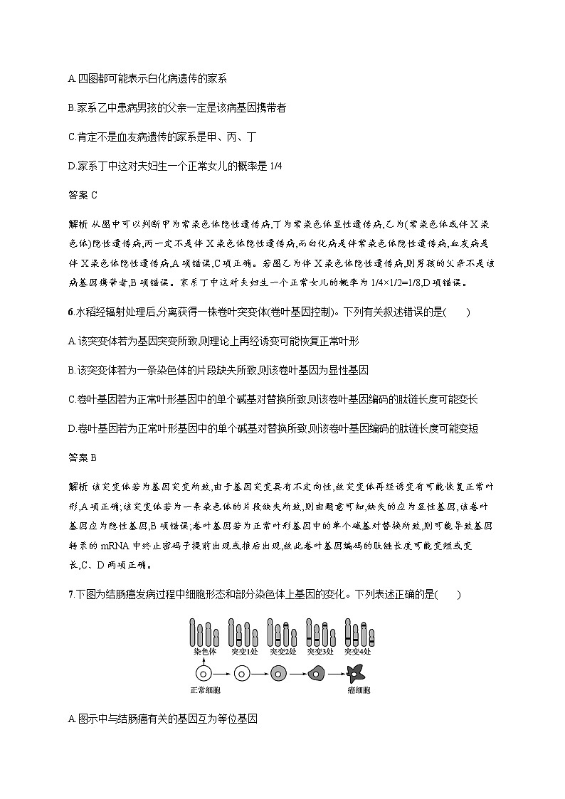 人教版高中生物必修2第5章基因突变及其他变异测评含答案第3页