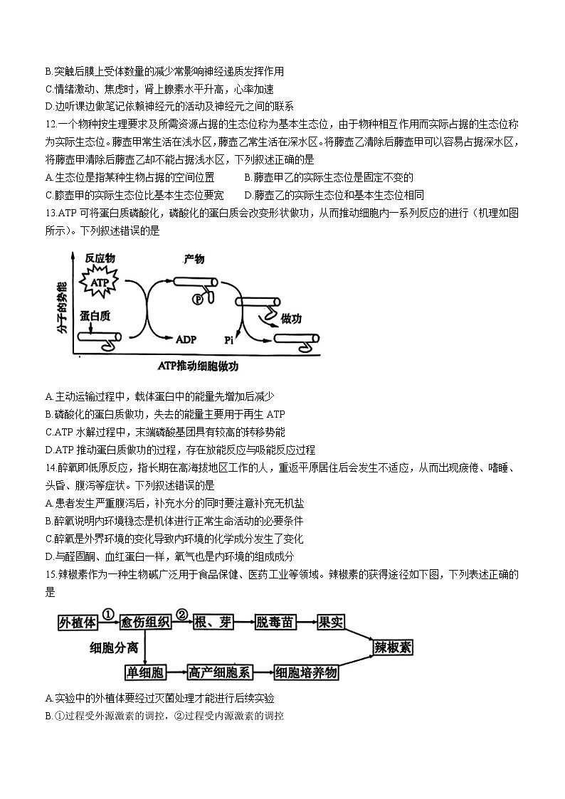 2023届辽宁省鞍山市高三第二次质量监测生物试题（含答案）03