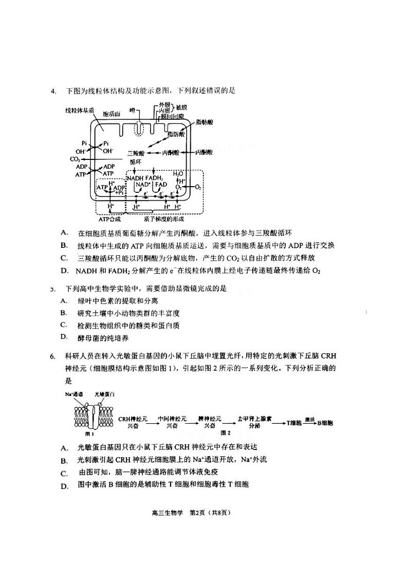 天津市南开区2022-2023学年高三下学期质量检测（一）生物试题02